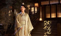 穿越到电视剧,梦回剧里情缘深