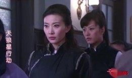 电视剧天狼星行动,揭秘特工风云，智斗暗流涌动的谍海世界