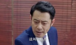 刘钧主演的电视剧,情感纠葛与命运抉择