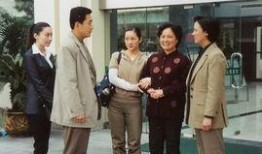 英雄泪电视剧,烽火岁月里的热血传奇